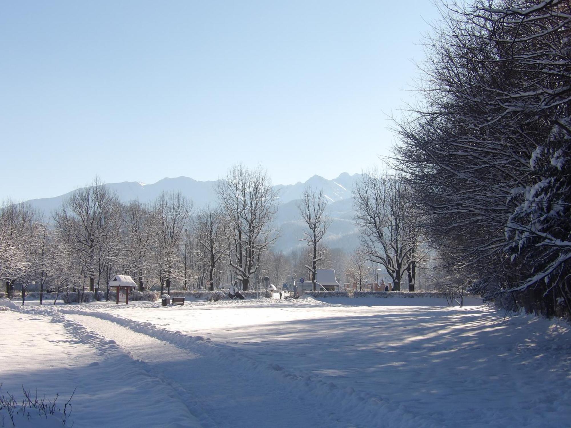 Dworek Na Rowni Zakopane Exteriör bild
