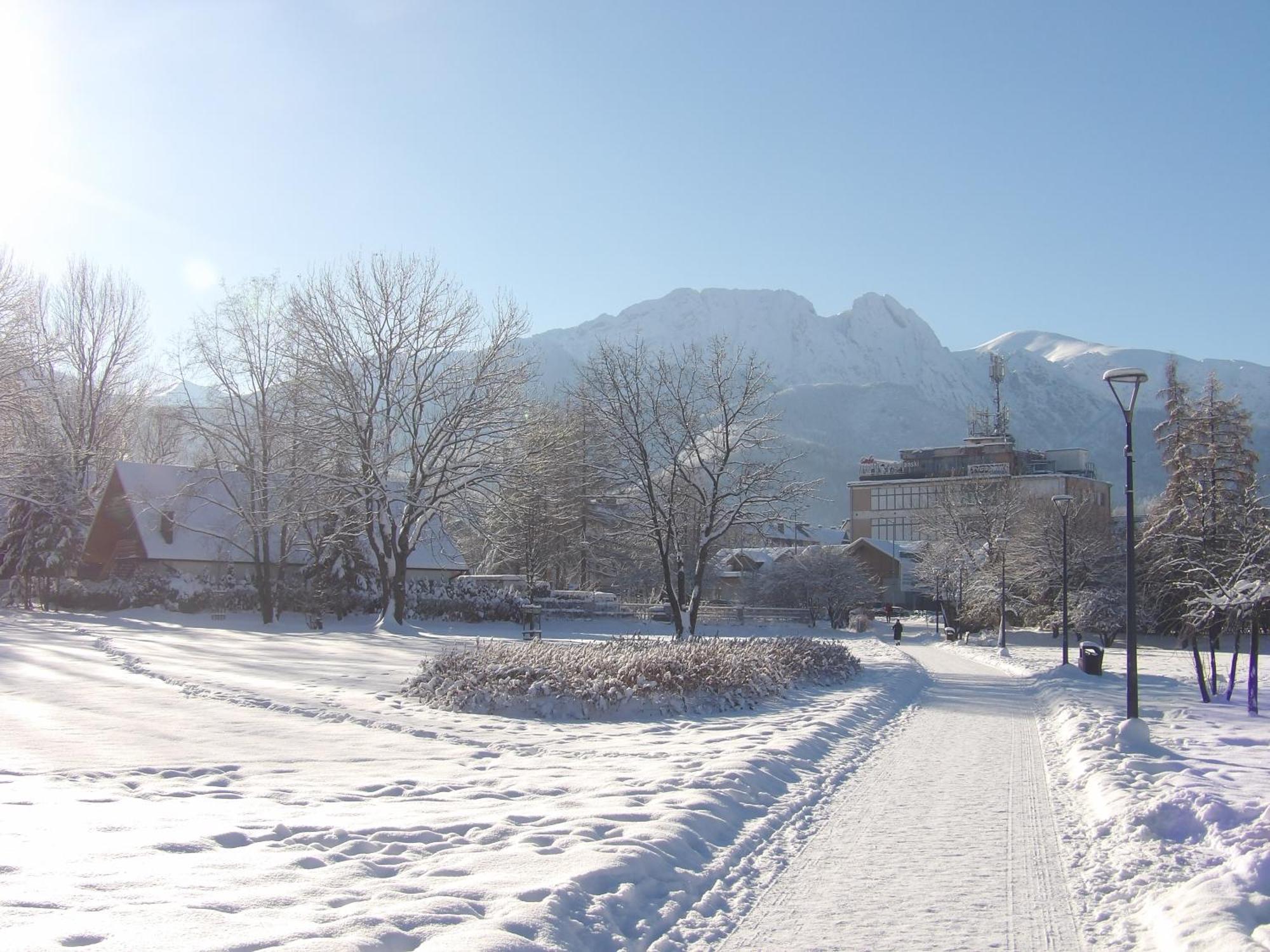 Dworek Na Rowni Zakopane Exteriör bild