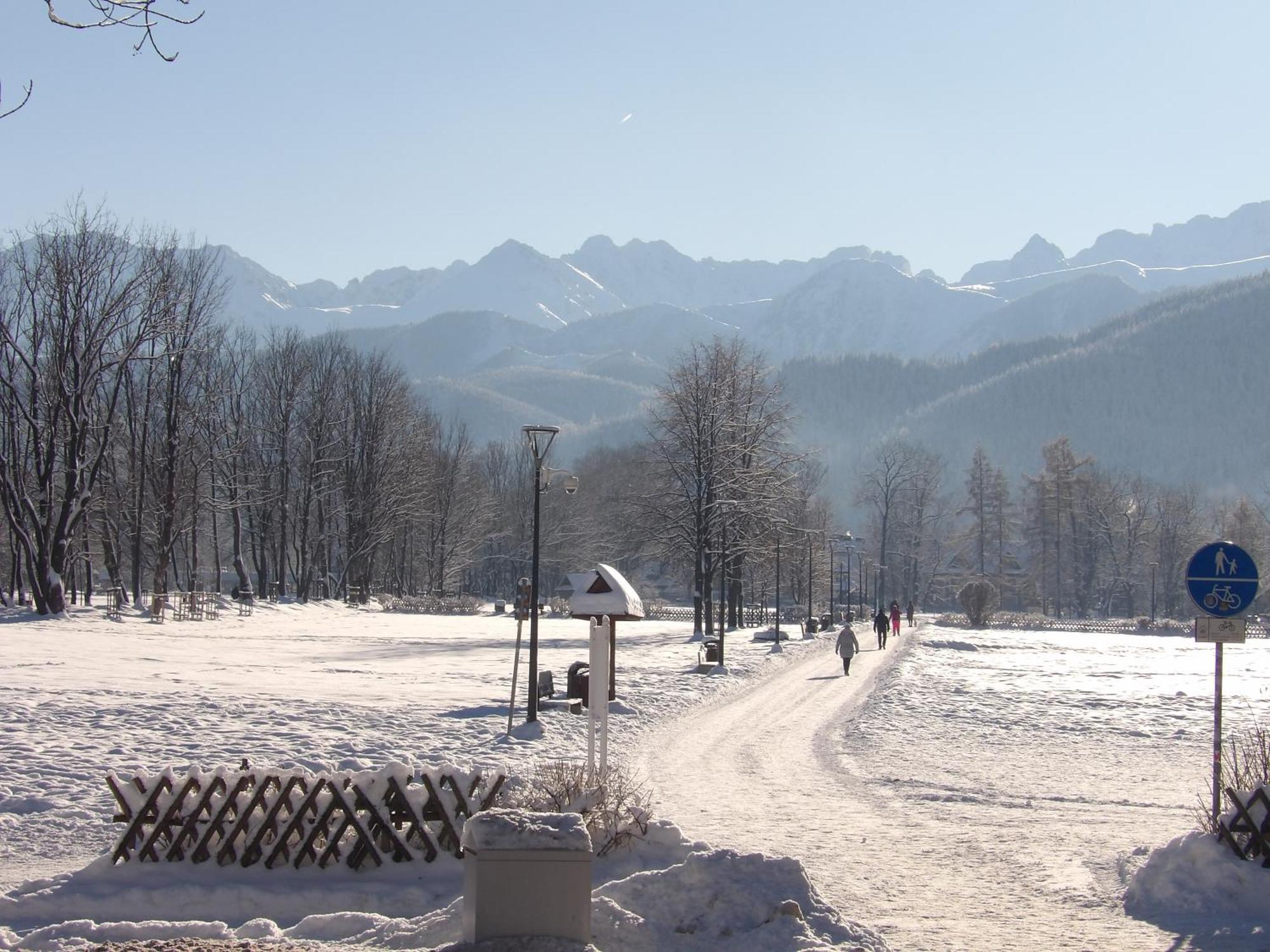 Dworek Na Rowni Zakopane Exteriör bild