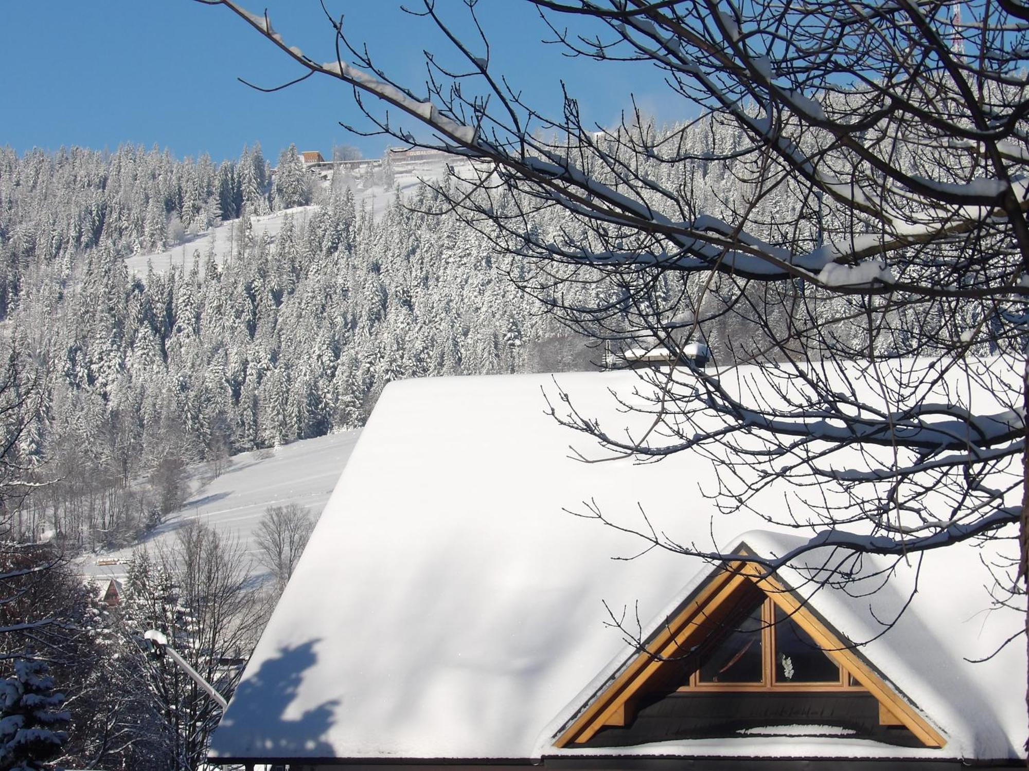 Dworek Na Rowni Zakopane Exteriör bild