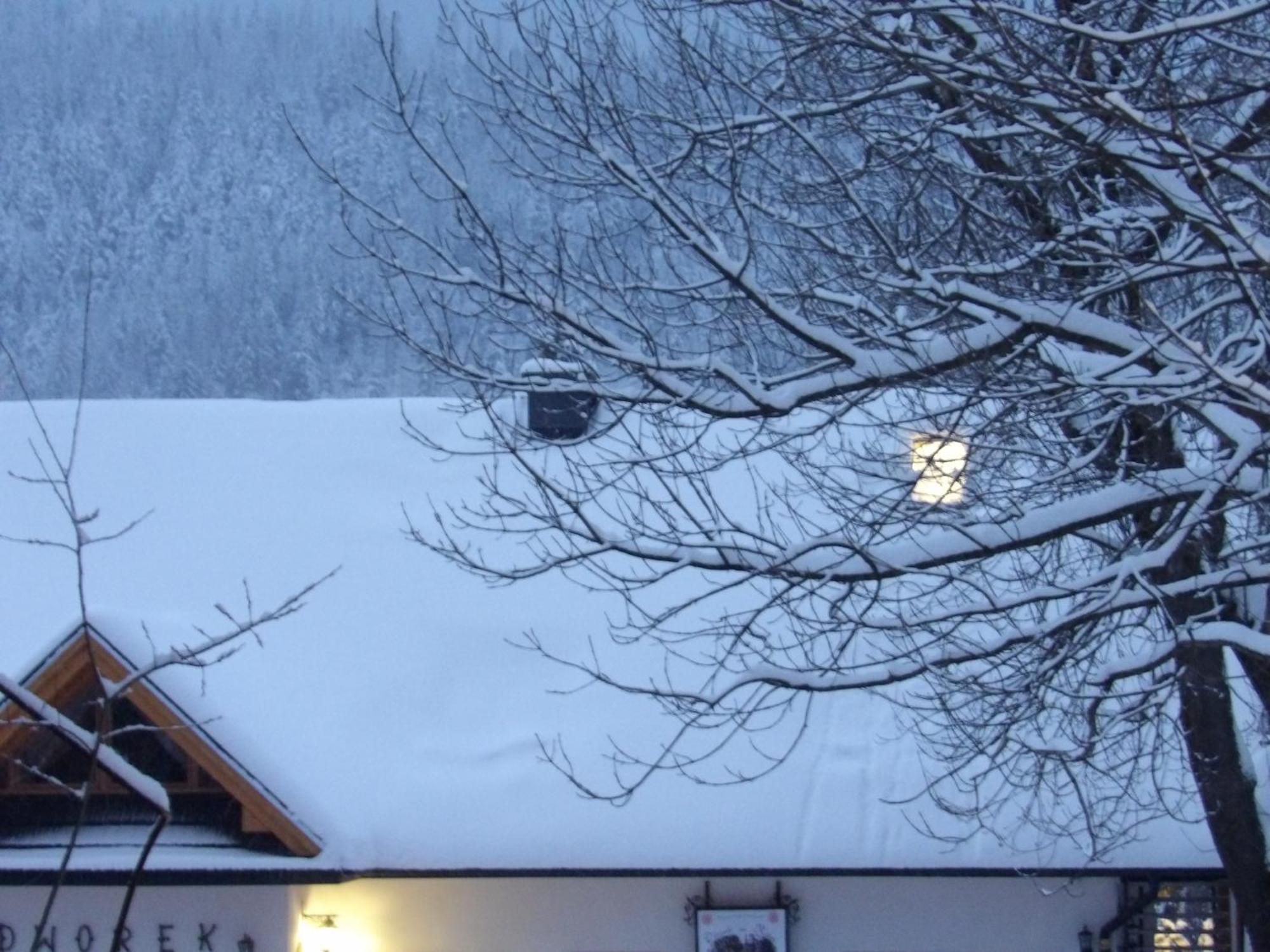 Dworek Na Rowni Zakopane Exteriör bild