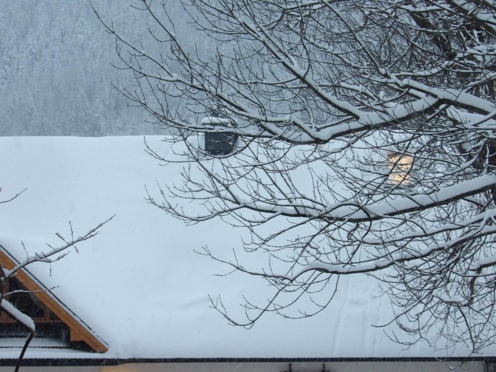 Dworek Na Rowni Zakopane Exteriör bild