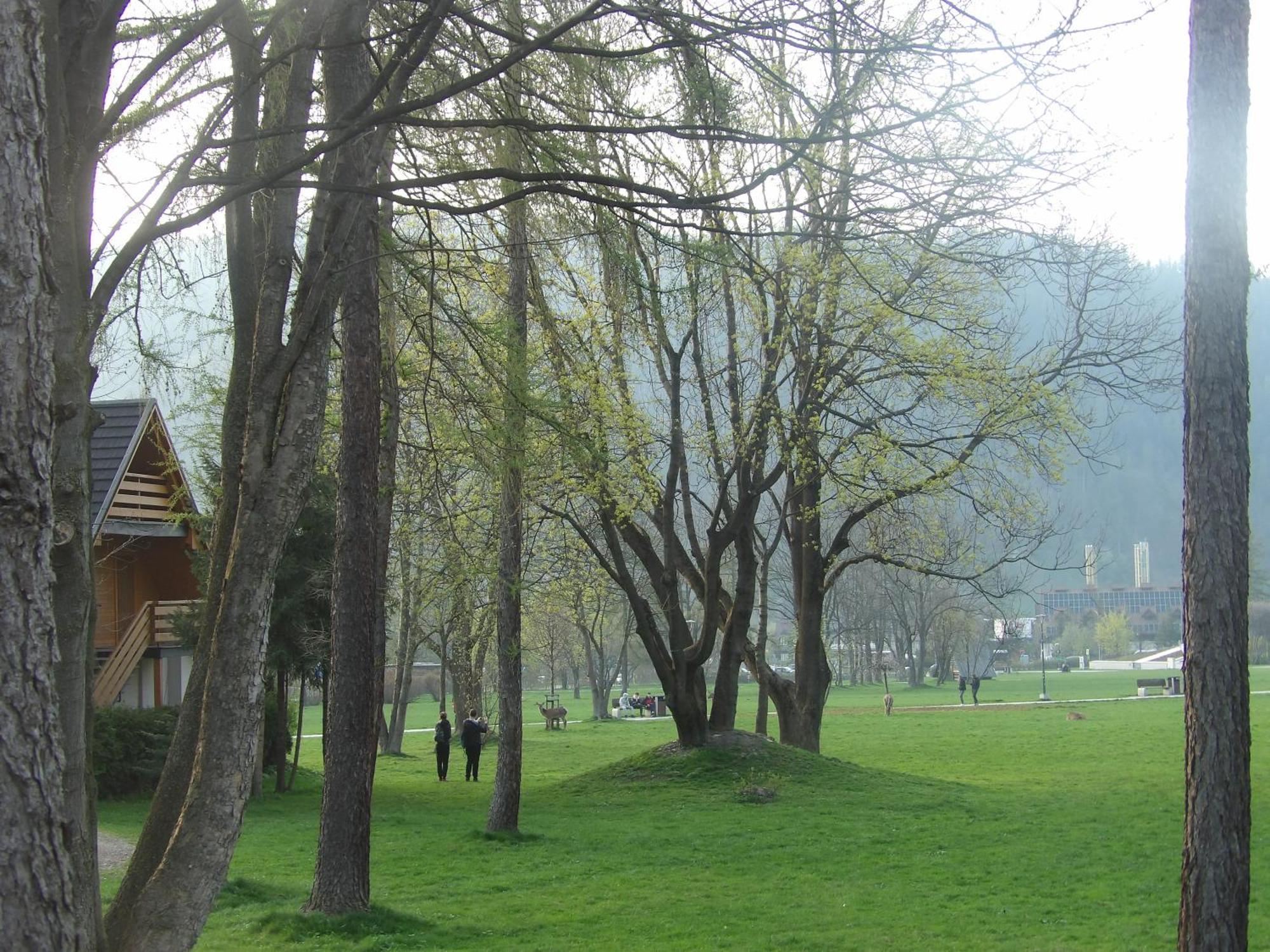 Dworek Na Rowni Zakopane Exteriör bild