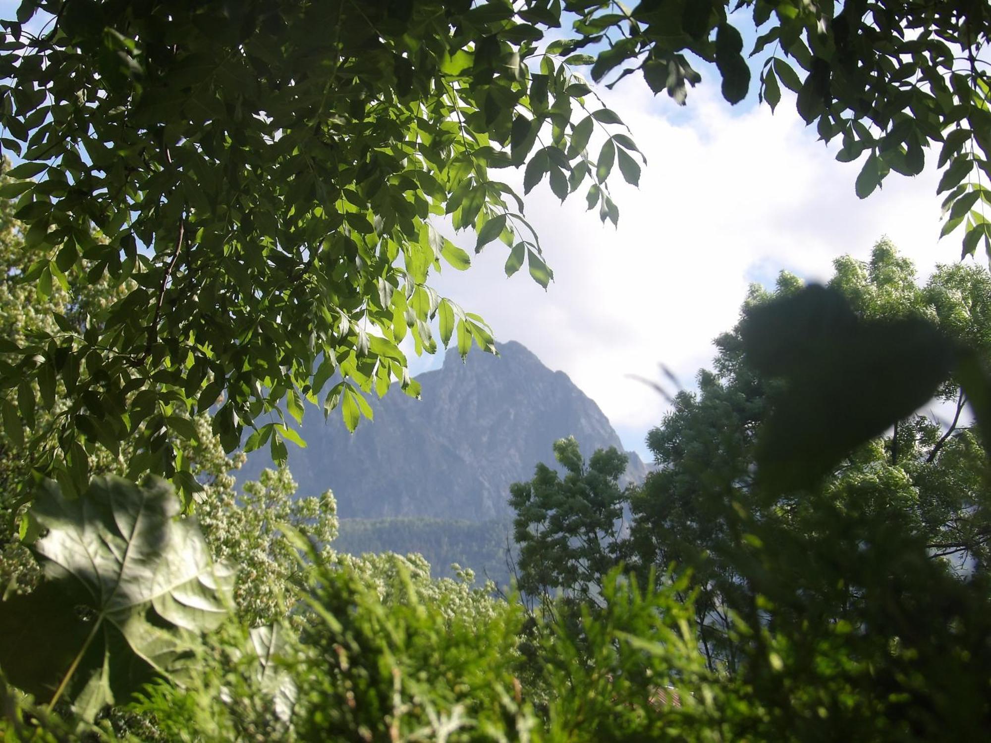 Dworek Na Rowni Zakopane Exteriör bild