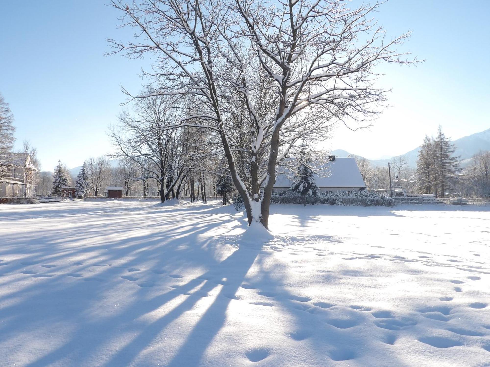 Dworek Na Rowni Zakopane Exteriör bild